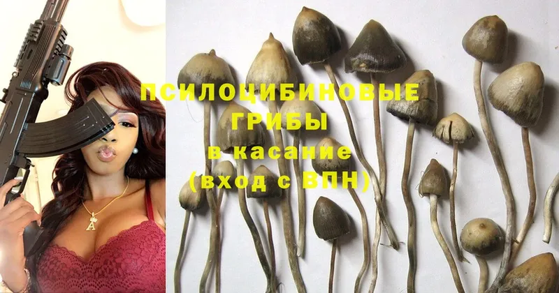 Псилоцибиновые грибы Magic Shrooms  как найти наркотики  Печора 